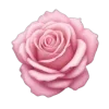 🌹