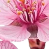 ⭐