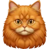 🐈