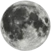 🌕