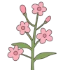 🌸