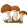 🍄‍🟫