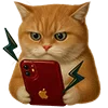 📲