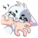 😺