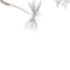 ⭐