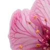 ⭐