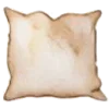 🛋️