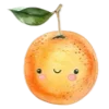 🍊