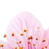 ⭐