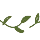 🌱