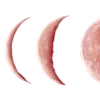 🌑