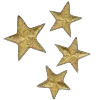 🌟