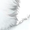 ⭐