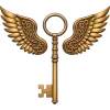 🔑
