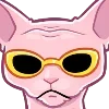 😎