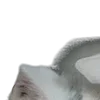 😽