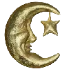 🌜