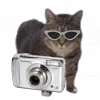 📷