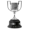 🏆