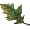 🍁