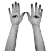 👁‍🗨