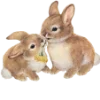 🐇