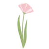 💓