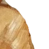 🎞️