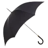 🌂