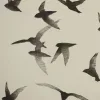 🕊️