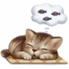 😴