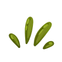 🍃