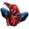 🕸