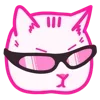 🐱