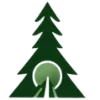 🌲