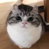 🎈