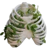 💀
