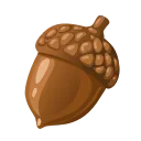 🌰