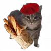 🇫🇷