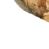 🎞️