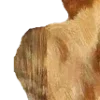 🎞️