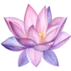 🌸