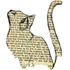 🤩