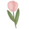 🌷