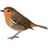 🕊