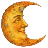 🌜