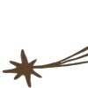 🌟
