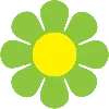 🌼