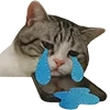 😭