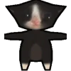 🐈‍⬛
